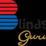 Blinds Guru Singapore Profile Picture