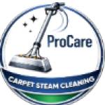 Pro Cleaning Profile Picture