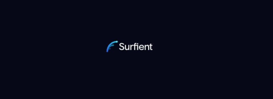 Surfient Surfient Cover Image