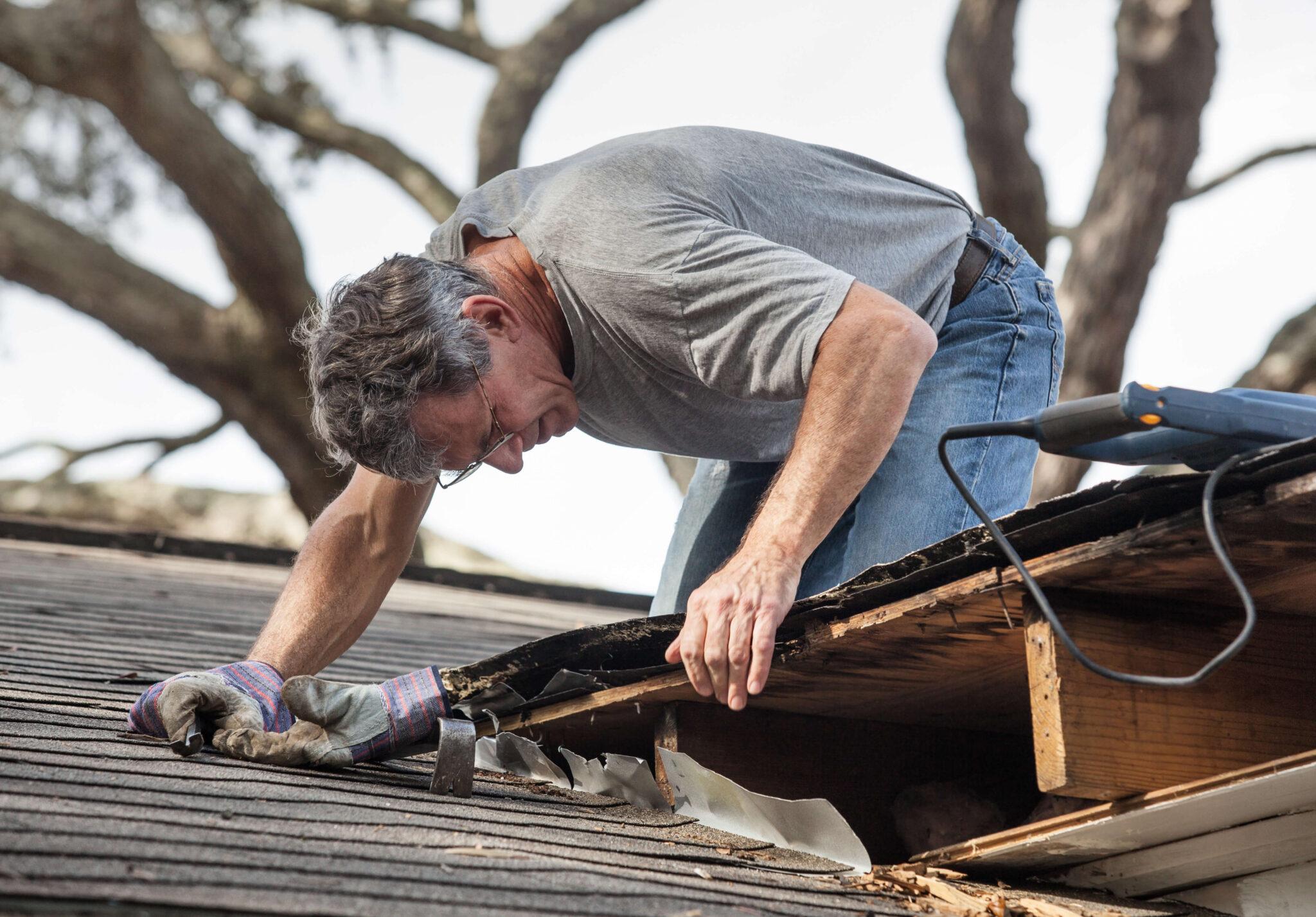 Roof Repair Services New Castle Fast Reliable Roofing | BuzzingAbout