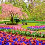 Archana Singh Holly Springs Profile Picture