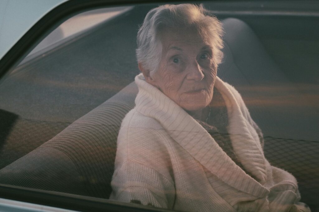 Professional elderly care transport | Pet with owner transfer