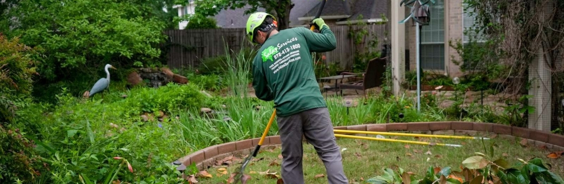 Salas Services Cover Image