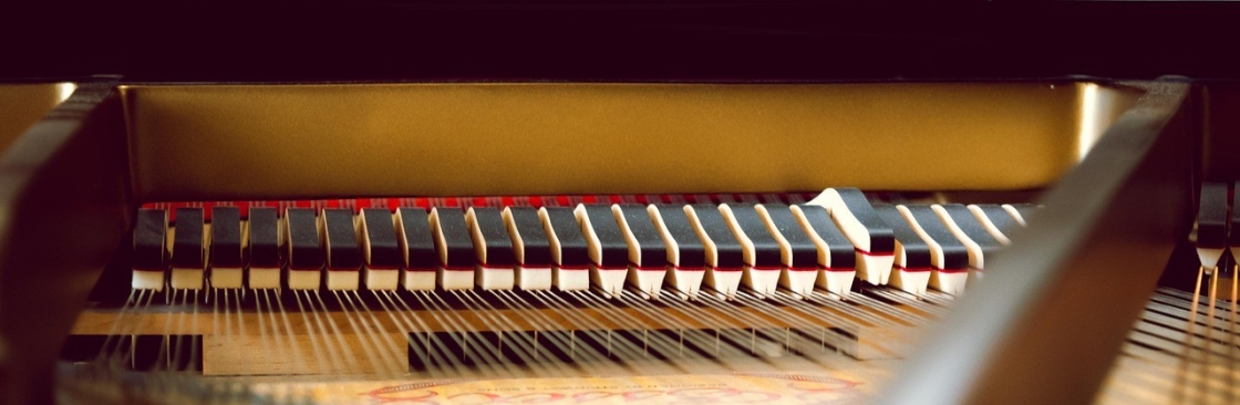 Philips Piano Academy Cover Image