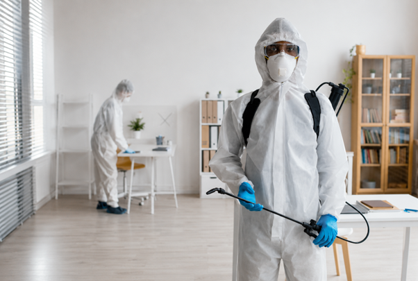 Why Licensed Pest Control Companies in UAE Are Safer and More Effective