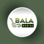 bala mowing Profile Picture