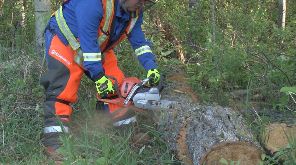 OSHA Chainsaw Safety Recommendations | SAFE Training Online