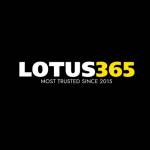 Lotus365 com profile picture