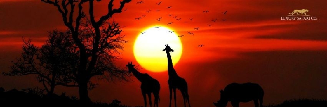 Luxury Safari Co Cover Image