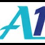 A1 IT Rental Profile Picture